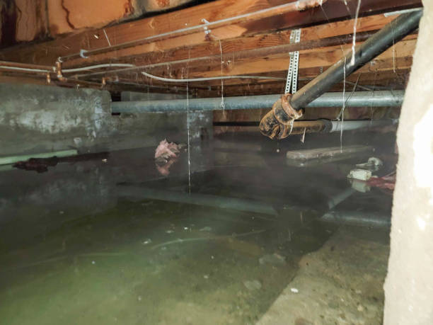Reliable Candor, NC Water damage restoration Solutions