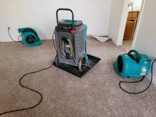 Best 24-hour water damage restoration  in Candor, NC