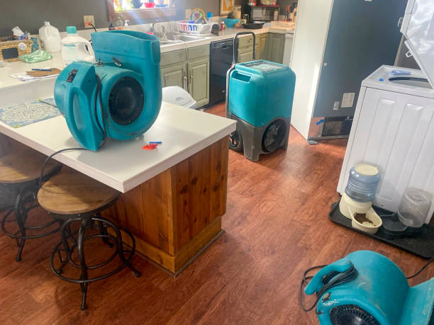 Best Water damage restoration near me  in Candor, NC