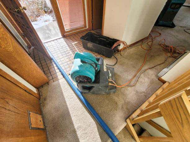 Best Water damage repair service  in Candor, NC