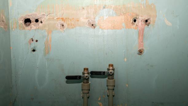 Trusted Candor, NC Water damage restoration Experts