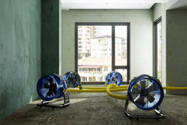 Best Professional water damage repair  in Candor, NC