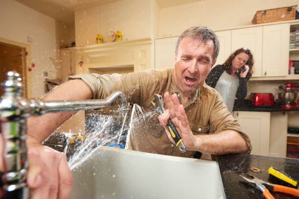 Best Flood damage cleanup  in Candor, NC